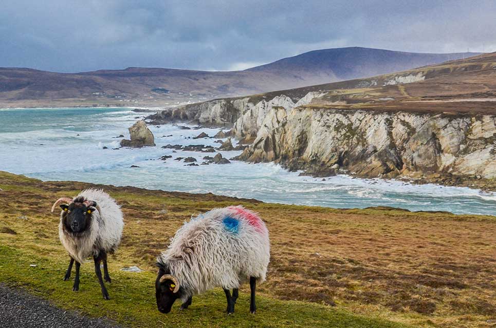 Ireland Scenic Drives Achill Island Autoglass® Blog